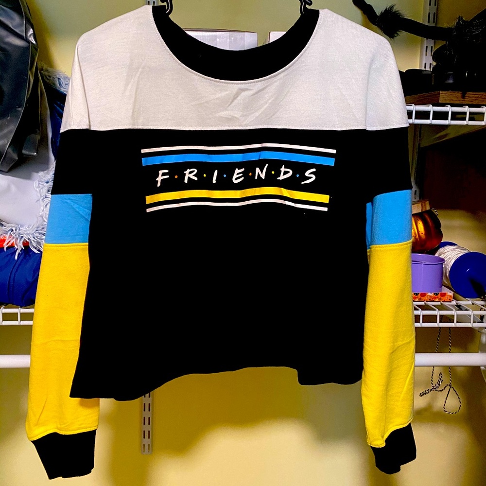Friends cropped sweater
